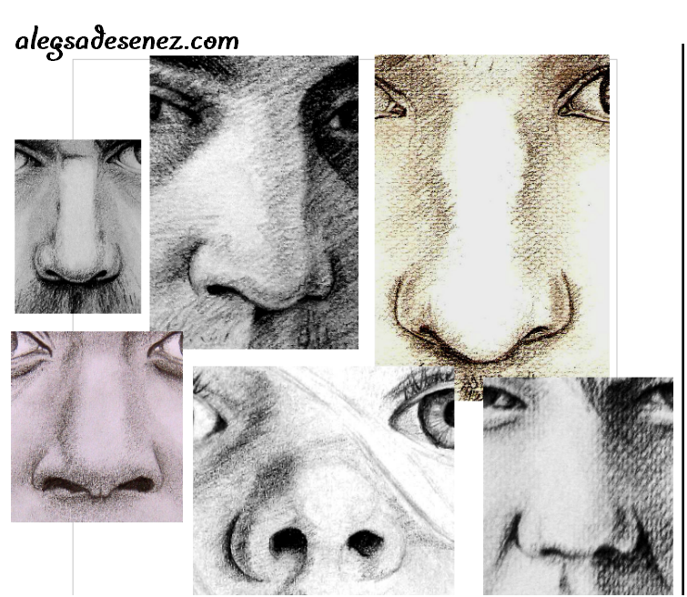 Despre portret; cum se deseneaza nasul