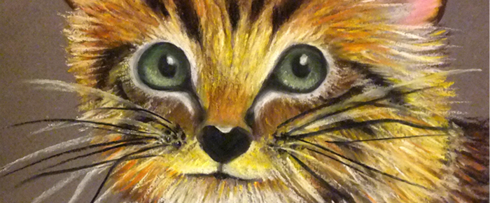 Desen cu pasteluri: Portret de pisica (de Laura Mateescu)