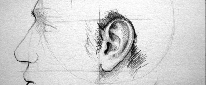 Urechea – parte a chipului uman